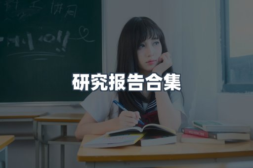 研究报告合集